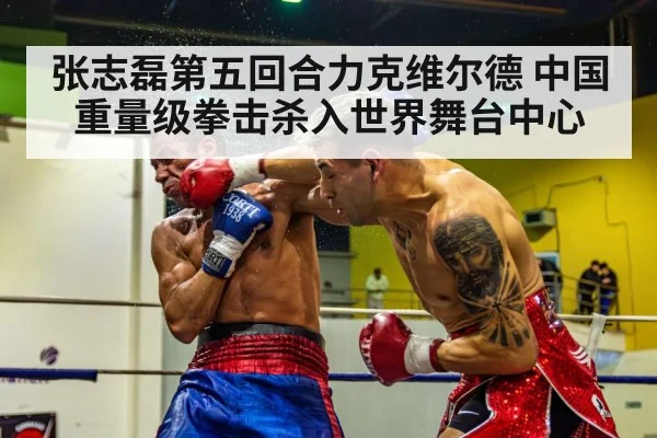 张志磊第五回合力克维尔德 中国重量级拳击杀入世界舞台中心